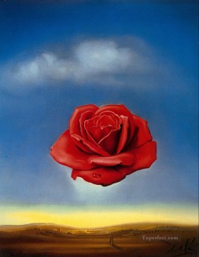 The Meditative Rose SD Oil Paintings